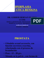 06 Hiperplasia Prostática Benigna - Dr. Flores