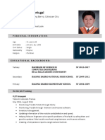 Aurelio Saron Portugal resume for computer engineer