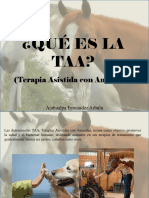 Atahualpa Fernández Arbulu - ¿Qué Es La TAA? 