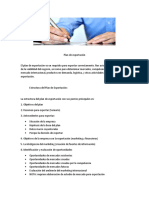 Plan de Exportación PDF