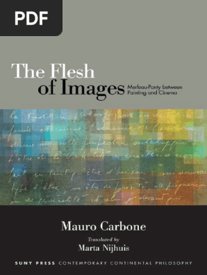 The Flesh Of Images Mauro Carbone Phenomenology - 