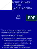 Placenta BU Ayu