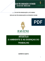 AMBIENTE E DOENÇAS DO TRABALHO.pdf