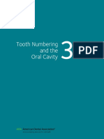 Toothnumbering Andthe Oralcavity: Currentdentalterminology
