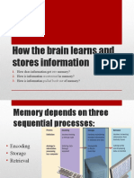 How The Brain Learns and Study Tips