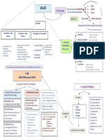 MAPA Conceptual Salud