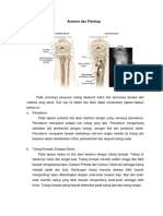 Anatomi Dan Fisiologi Tulang