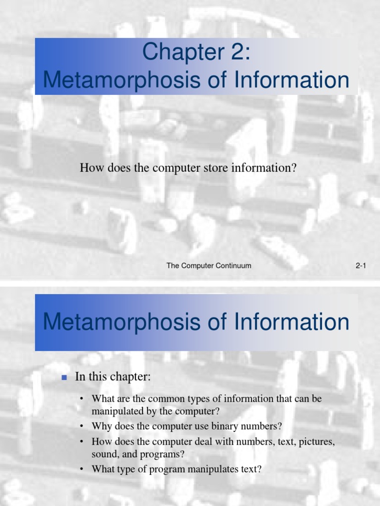 Metamorphosis of Information: How Does The Computer Store Information ...