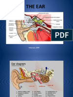 The Ear: February 2009