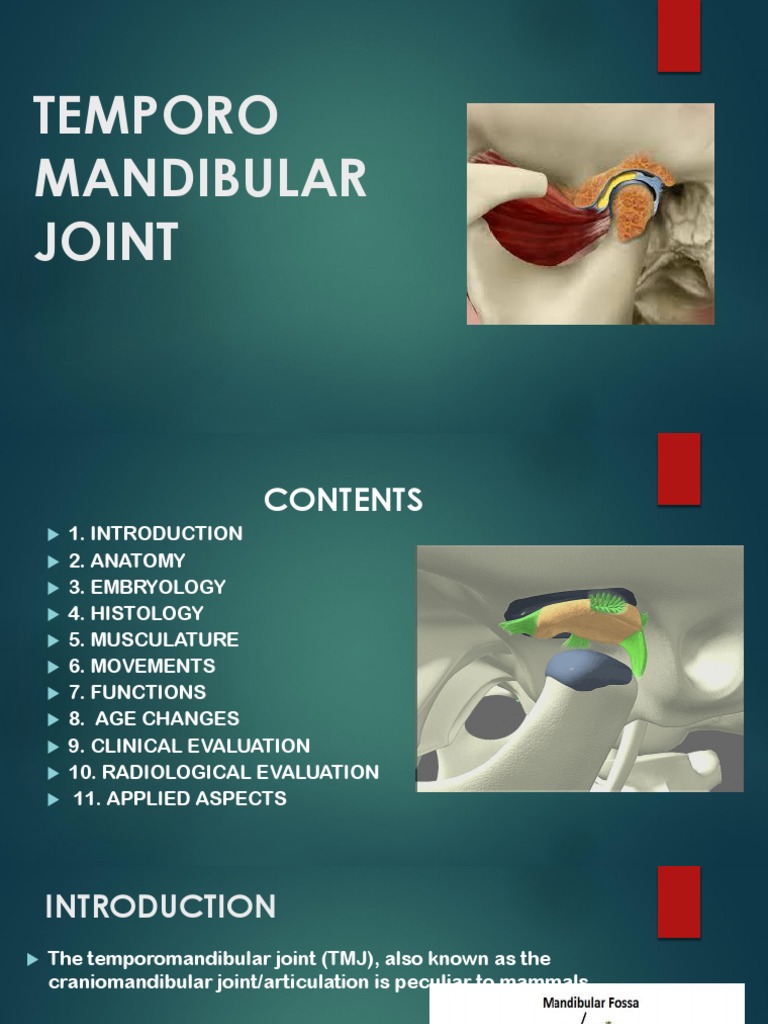 TMJ | PDF | Musculoskeletal System | Skeletal System