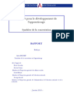 Rapport Concertation Apprentissage 30-01-2018