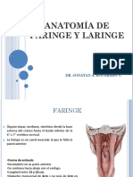 11 Anatoma de Faringe y Laringe