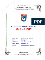 Triet2 8528 PDF