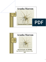 Informações Úteis Sobre A Aranha Marrom