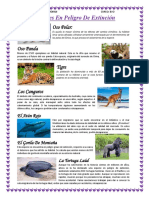 Animales en Peligro de Extinción 1 Hoja