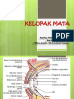 Kelopak Mata 3.6