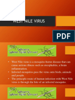 Binommialswest Nile Virus