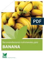 Manejo Cultivo Banano