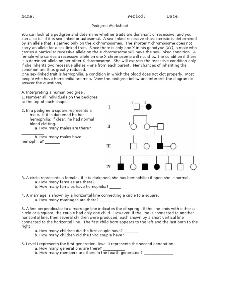 pedigree-worksheet-2-pdf-dominance-genetics-haemophilia