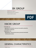 Hacek Group