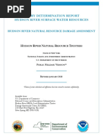 Injury Determination Report