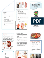 PENCEGAHAN BATU GINJAL
