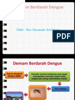 Pembekalan DBD