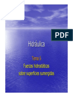 fuerzas hidrostaticas.pdf