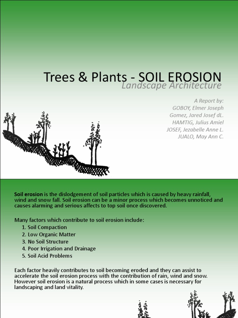 Trees & Plants - SOIL EROSION: Landscape Architecture | PDF | Mulch | Soil