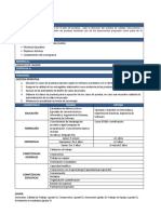 Plantilla Descripcion Del Puesto - Ejecutor Tester