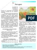 doenças do cafeeiro (folder).pdf