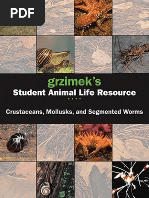 Grzimek S Salr Crustaceans Mollusks And Segmented Worms Fossil Crustacean