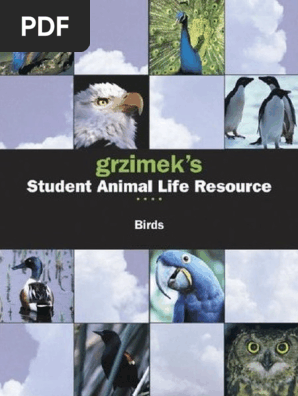 Grzimeks Salr Birds Neognathae Paravians - 
