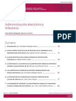 Administración Electrónica PDF
