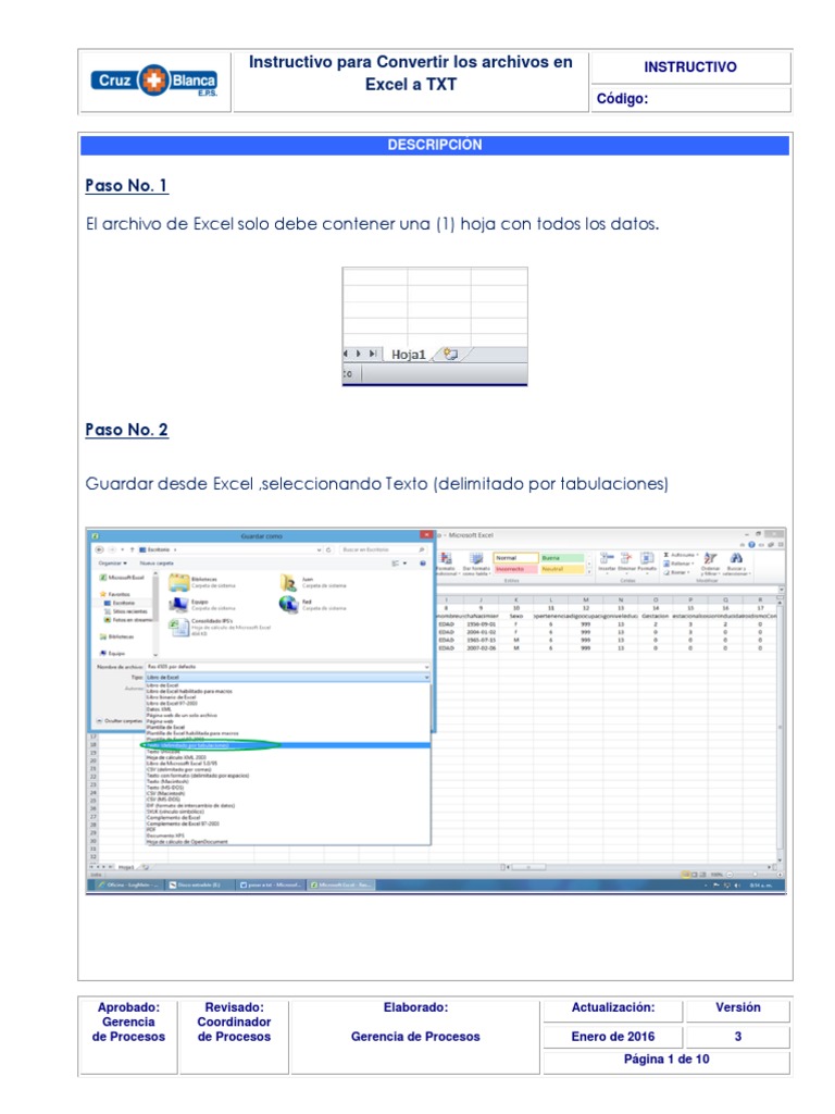 Convertir Excel a TXT: Instructivo Detallado | PDF | Archivo de ...