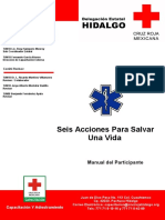 Manual Seis Acciones.pdf