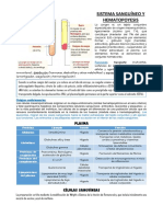 Sistema sanguíneo y hematopoyesis: funciones, componentes y procesos