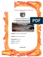 informe dde potencial EDISON.docx