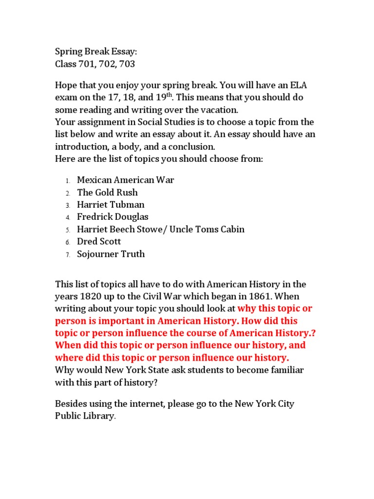 Spring Break Essay PDF