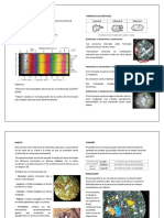 Mineralogia Optica