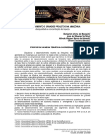 Desenvolvimento E Grandes Projetos Na Amazônia:: Desigualdade e Concentração de Riqueza