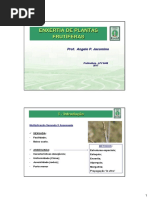 Aula Enxertia 2017-Web