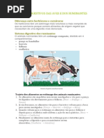 Resumo Ciências 6º Ano