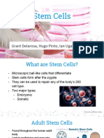 Final Stem Cells