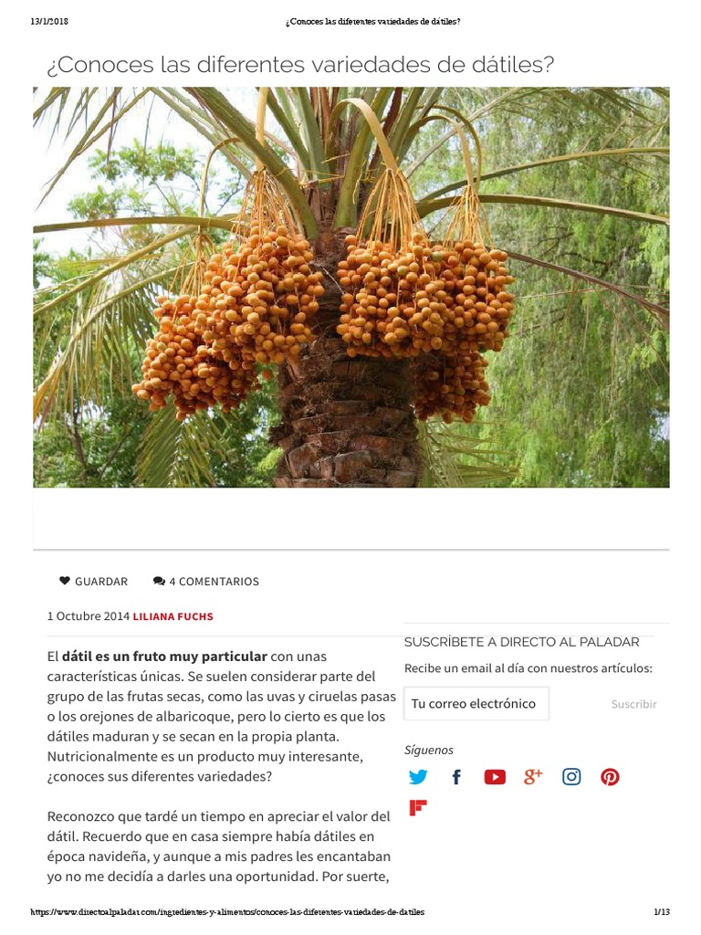 Variedades de dátiles y sus tipos | PDF | Carne | Fruta
