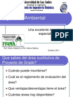 IngenieAmbiental.pdf