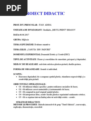 Proiect Didactic Dec Pictura