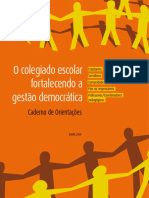 Caderno de Orientacao Ao Colegiado (1)