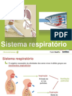 sistema_respiratorio .pdf