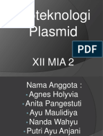 Plasmid